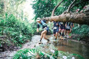 BIB: 
                            <button type="button" onclick="openModal(25468772)" class="btn btn-primary btn-sm float-right btn-popup" data-toggle="modal" data-target=".modal-high-quality">
                        <i class="fas fa-shopping-cart"></i> Add to Cart
                    </button>
                                            <button type="button" onclick="isThisMe(25468772, true)" class="btn btn-success btn-sm float-right btn-popup btn-isme hidden" data-toggle="tooltip" data-placement="bottom" title="นี่คือรูปของคุณใช่ไหม คลิกที่นี่เพื่อเอาเข้าอัลบั้ม">
                        <i class="fas fa-plus"></i> Add to album
                    </button>
                    <button type="button" onclick="isThisMe(25468772, false)" class="btn btn-warning btn-sm float-right btn-popup btn-isnotme hidden">
                        <i class="fas fa-ban"></i> Remove from album
                    </button>